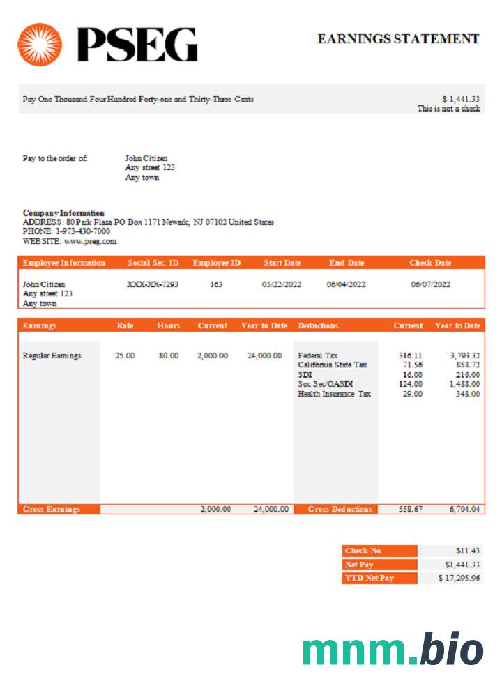 USA PSEG utilities company pay stub